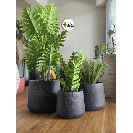 NG-00544-17.7-15.5-14.0-16.0